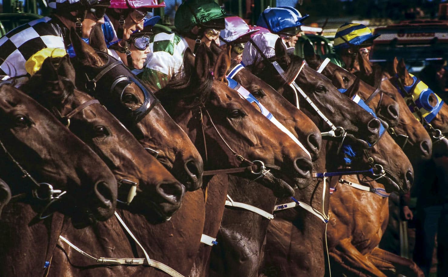 Horse Racing event photography