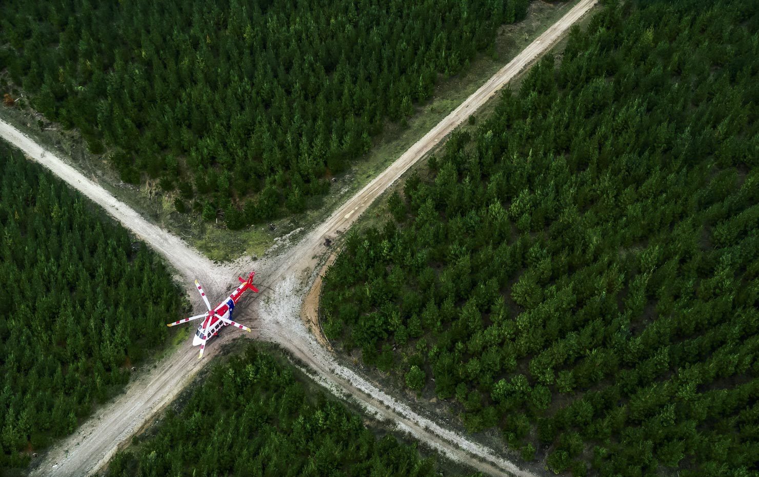 Ambulance helicopter in a pine plantation