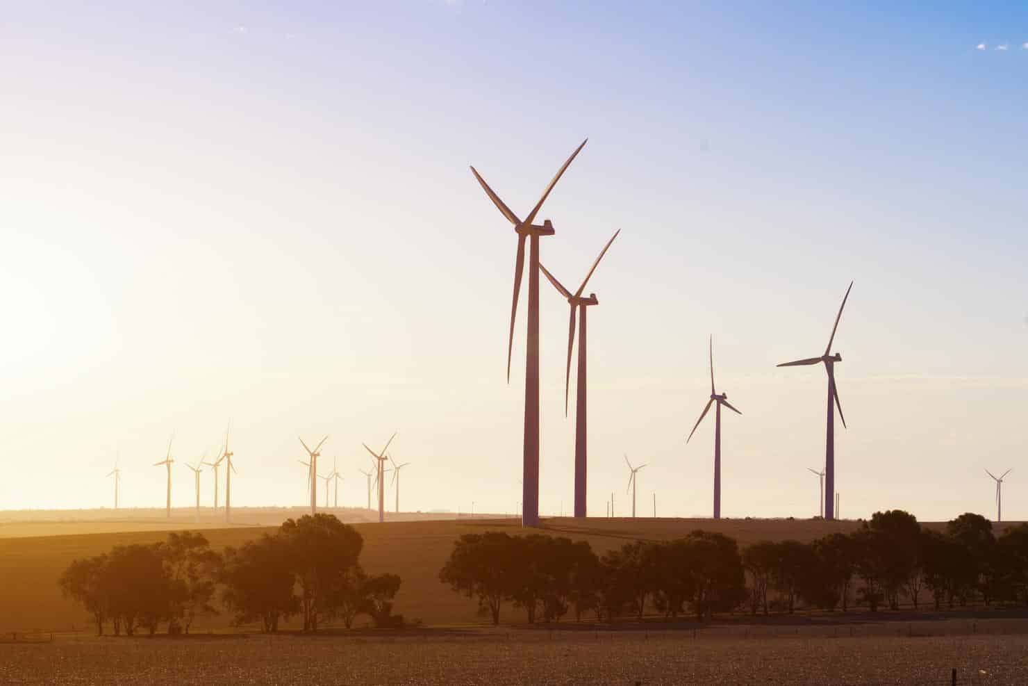 Walkaway Wind Farm near Geraldton WA