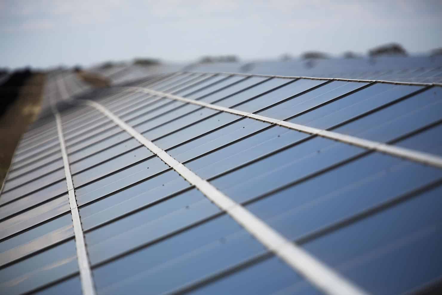 Solar panels at a solar farm