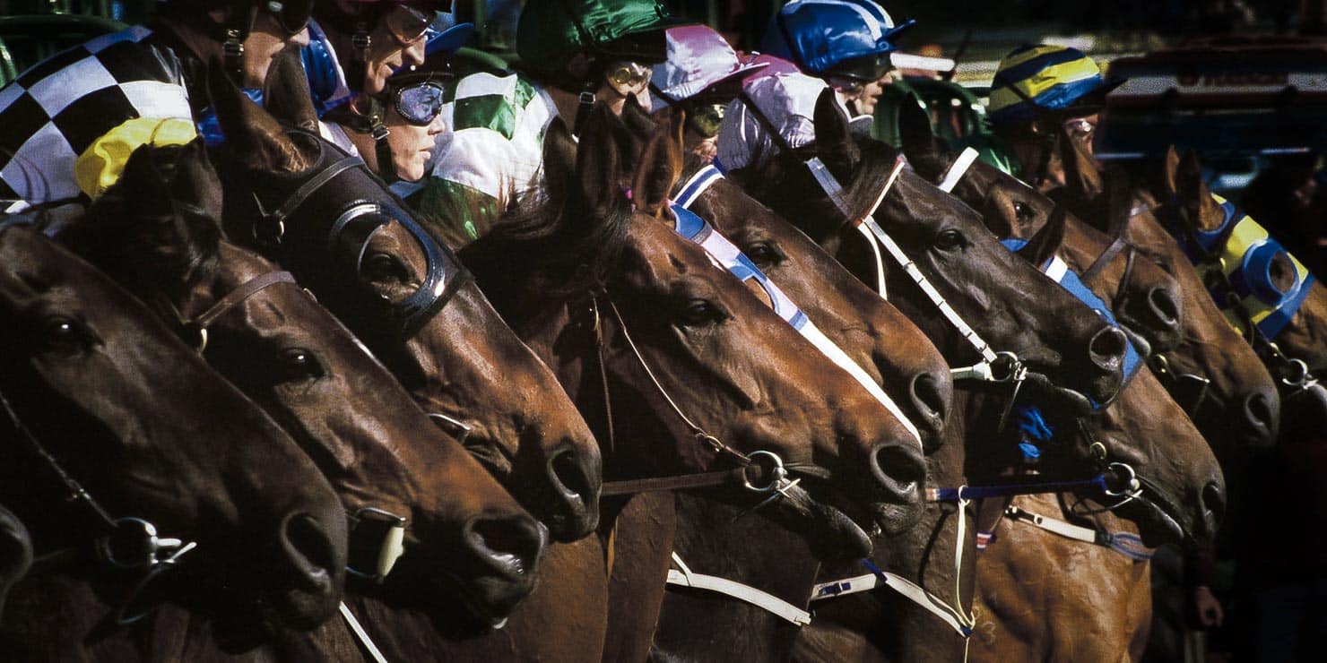 Event photography, Melbourne Cup Horse Racing